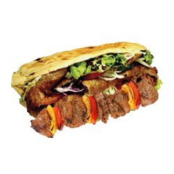 DONER and CHICKEN SHISH KEBAB