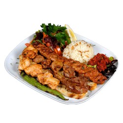 DONER and LAMB SHISH